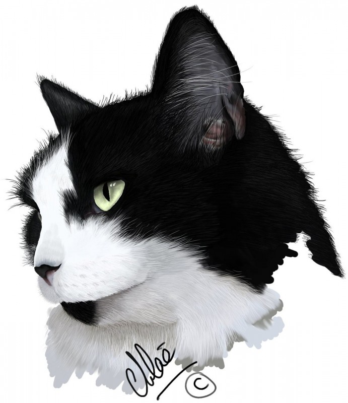 poupette.jpg