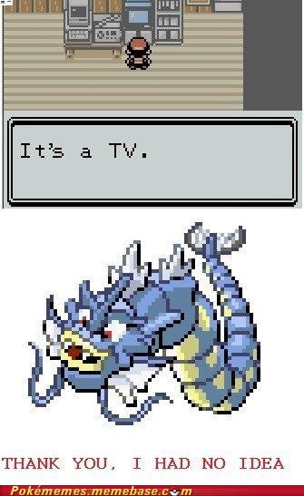G0UJUJDvvk224Pjgtvx1uA2.jpg